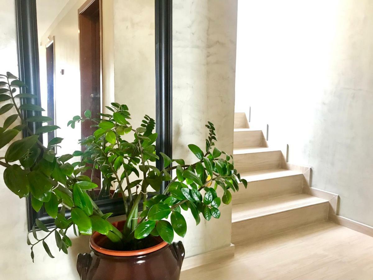 Angulo House Hotel Santa Maria Ngoại thất bức ảnh